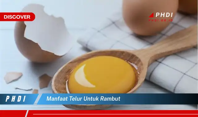 manfaat telur untuk rambut