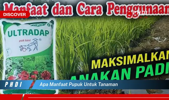 apa manfaat pupuk untuk tanaman