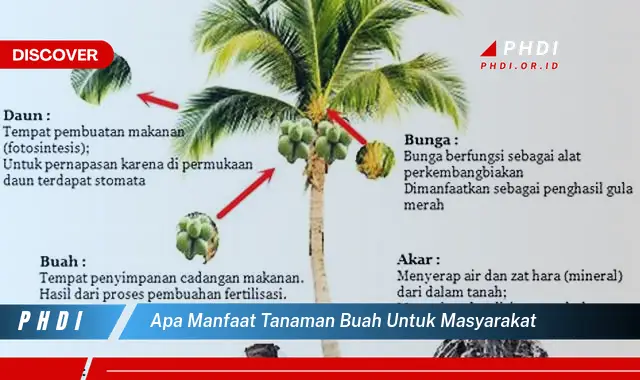 apa manfaat tanaman buah untuk masyarakat