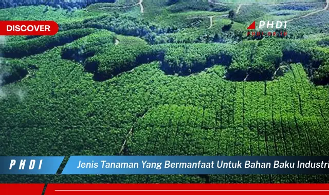 jenis tanaman yang bermanfaat untuk bahan baku industri adalah