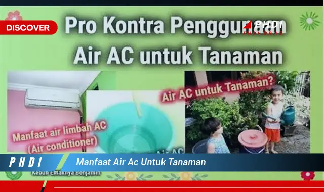 manfaat air ac untuk tanaman