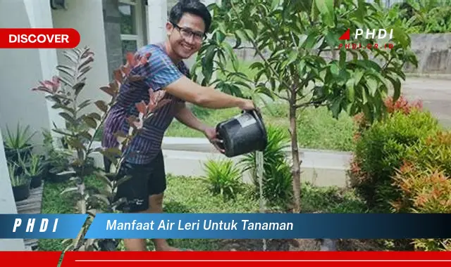 manfaat air leri untuk tanaman