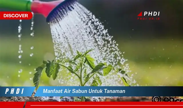 manfaat air sabun untuk tanaman