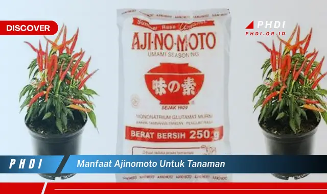 manfaat ajinomoto untuk tanaman