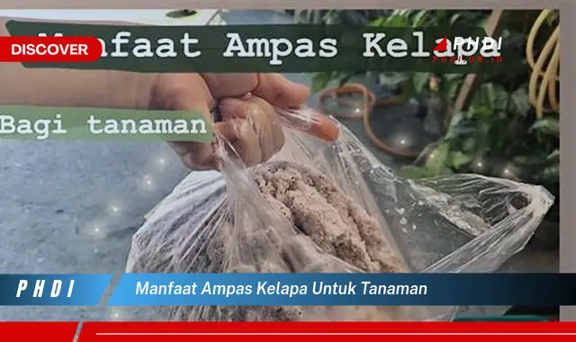 manfaat ampas kelapa untuk tanaman