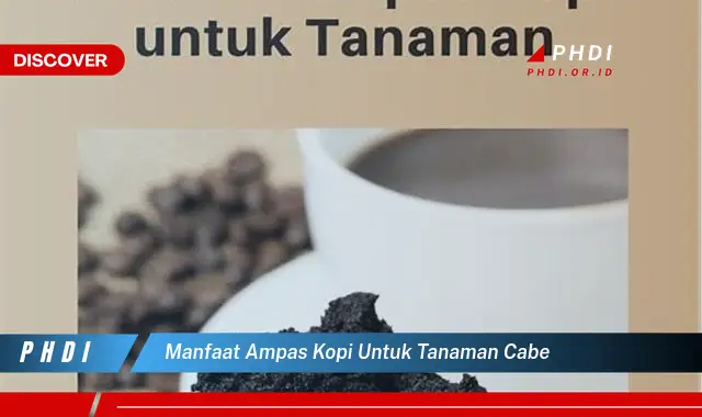 manfaat ampas kopi untuk tanaman cabe