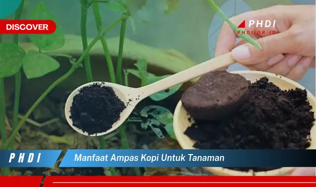 manfaat ampas kopi untuk tanaman