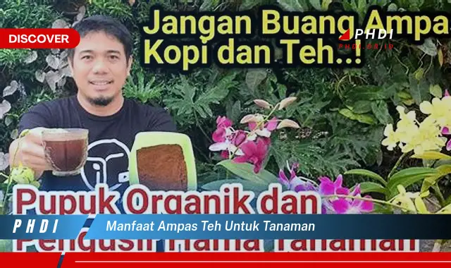 manfaat ampas teh untuk tanaman