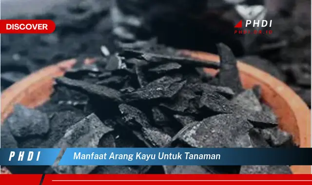 manfaat arang kayu untuk tanaman