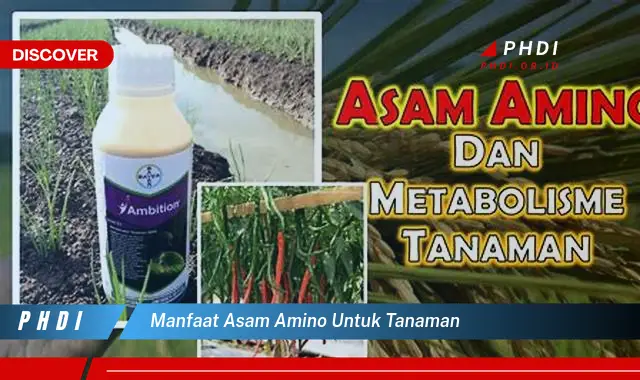 manfaat asam amino untuk tanaman