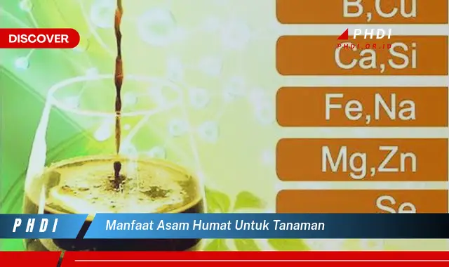 manfaat asam humat untuk tanaman