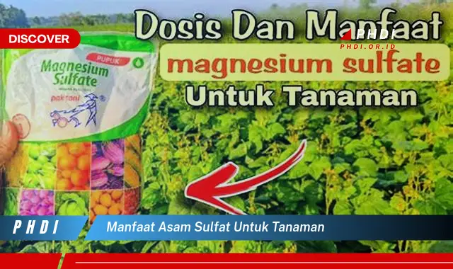 manfaat asam sulfat untuk tanaman