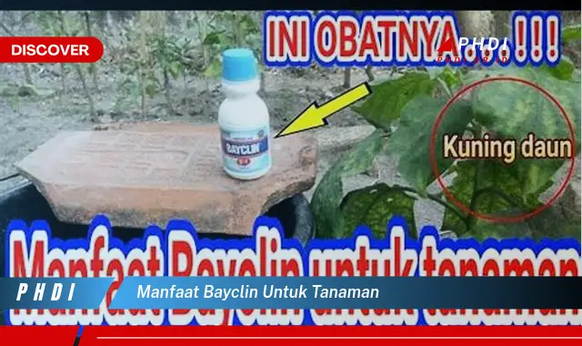 manfaat bayclin untuk tanaman