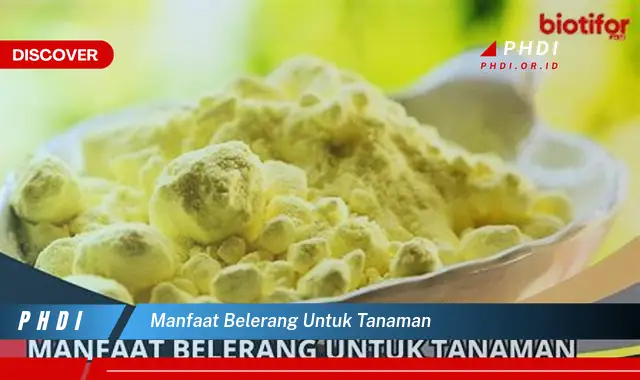 manfaat belerang untuk tanaman