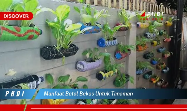 manfaat botol bekas untuk tanaman