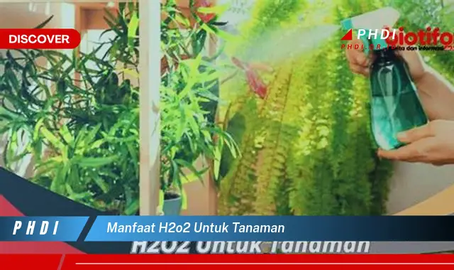 manfaat h2o2 untuk tanaman