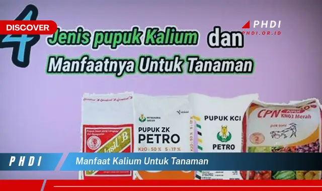 manfaat kalium untuk tanaman