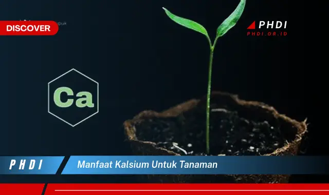 Manfaat Kalsium untuk Tanaman: Panduan Komprehensif