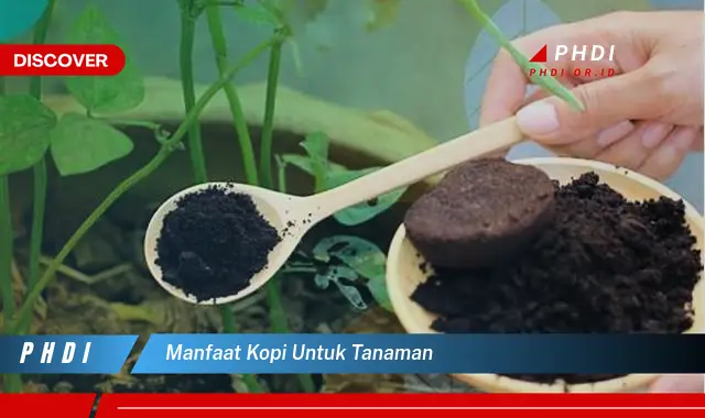 manfaat kopi untuk tanaman