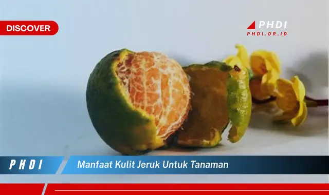 manfaat kulit jeruk untuk tanaman