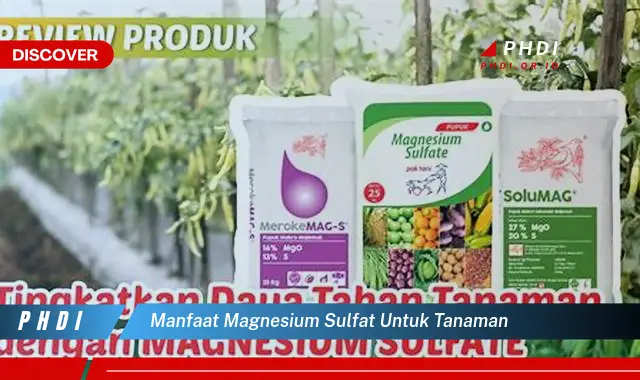 manfaat magnesium sulfat untuk tanaman