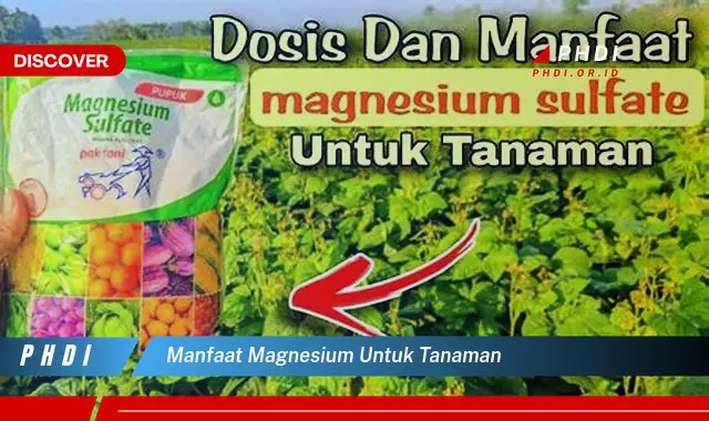 manfaat magnesium untuk tanaman