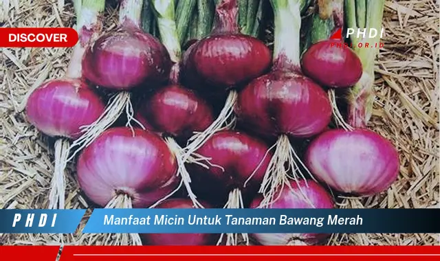 manfaat micin untuk tanaman bawang merah