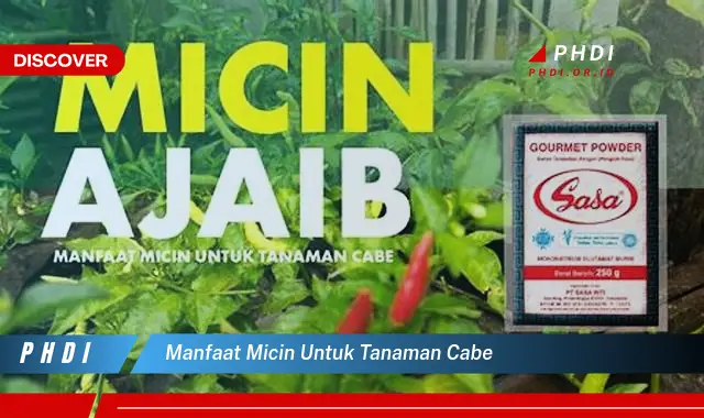 manfaat micin untuk tanaman cabe