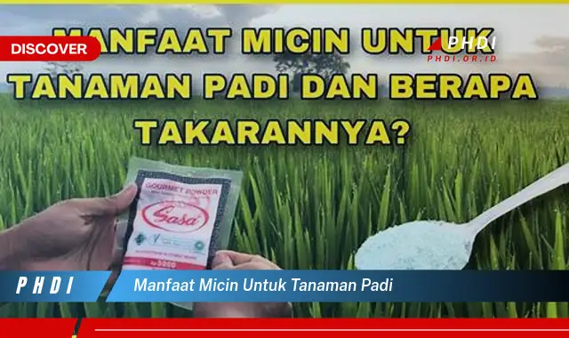 manfaat micin untuk tanaman padi