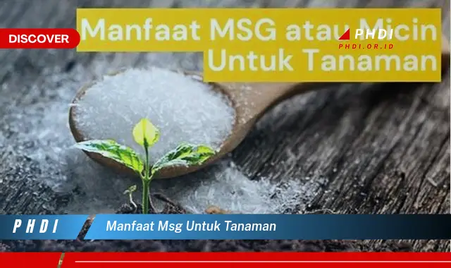 manfaat msg untuk tanaman