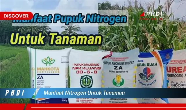 manfaat nitrogen untuk tanaman