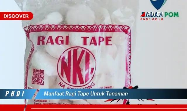 manfaat ragi tape untuk tanaman