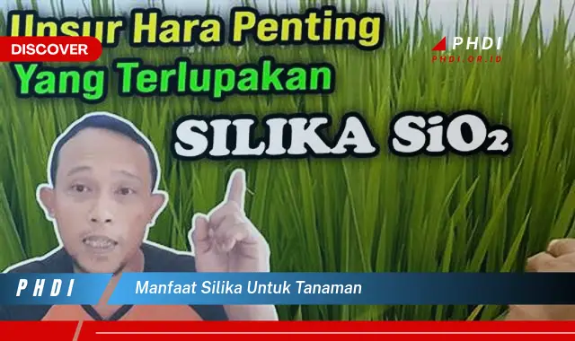 manfaat silika untuk tanaman