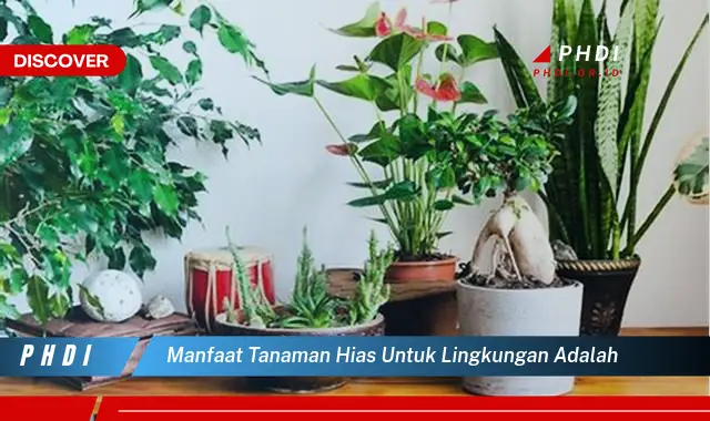 manfaat tanaman hias untuk lingkungan adalah