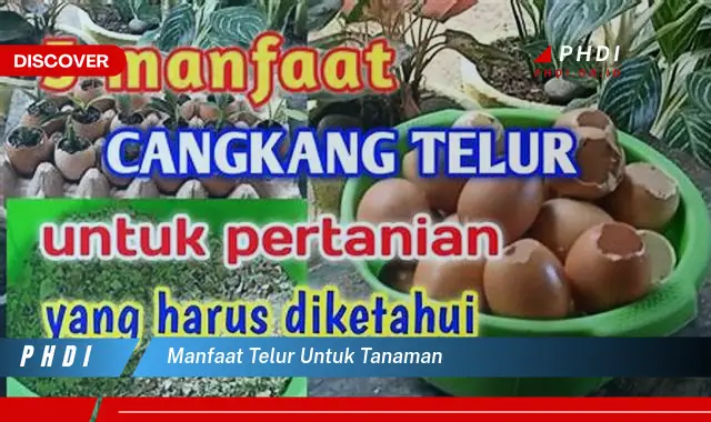 manfaat telur untuk tanaman