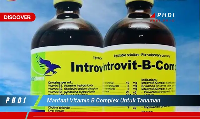 manfaat vitamin b complex untuk tanaman