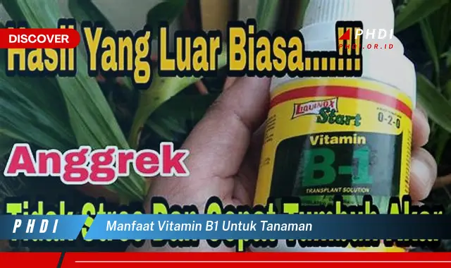 manfaat vitamin b1 untuk tanaman