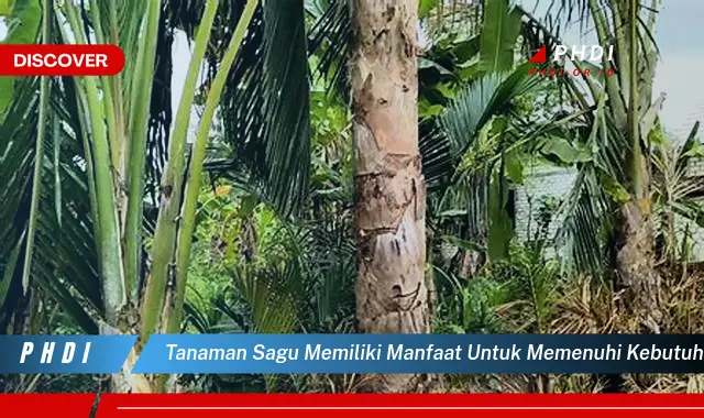 tanaman sagu memiliki manfaat untuk memenuhi kebutuhan