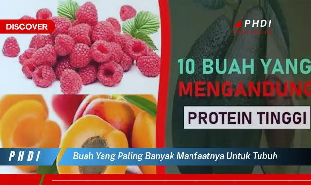 buah yang paling banyak manfaatnya untuk tubuh