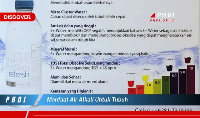 manfaat air alkali untuk tubuh