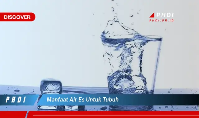 manfaat air es untuk tubuh