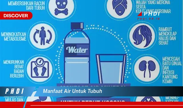 manfaat air untuk tubuh