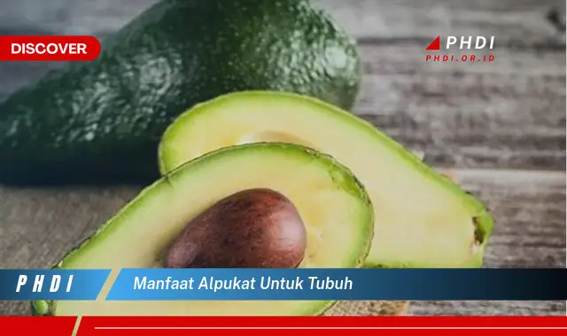 manfaat alpukat untuk tubuh