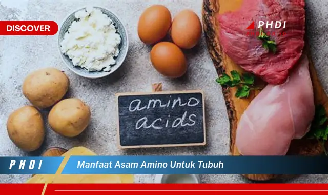 manfaat asam amino untuk tubuh