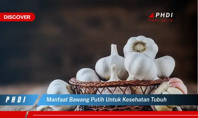 manfaat bawang putih untuk kesehatan tubuh