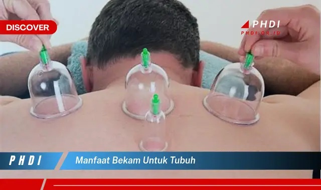 manfaat bekam untuk tubuh