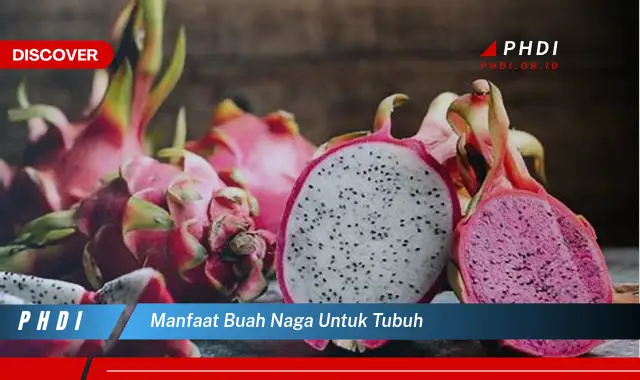 manfaat buah naga untuk tubuh