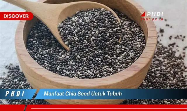 manfaat chia seed untuk tubuh