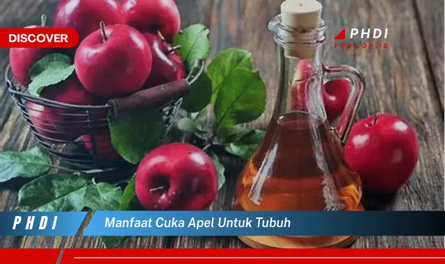 manfaat cuka apel untuk tubuh