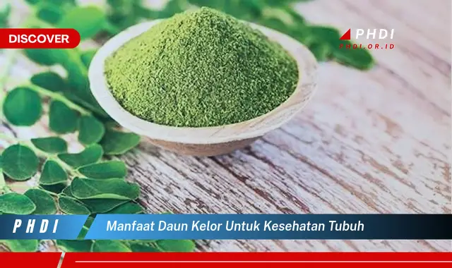 manfaat daun kelor untuk kesehatan tubuh